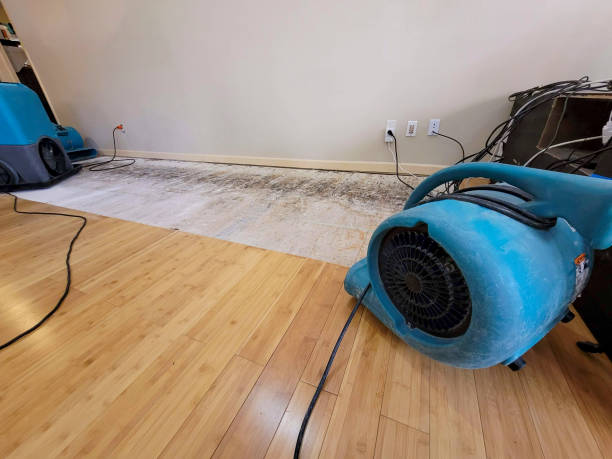 Professional Water Removal technician working in Keaau, HI
